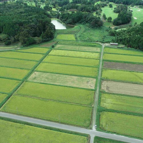 令和5年度 　第1号　佐山下流地区　中村工区送水管路工事