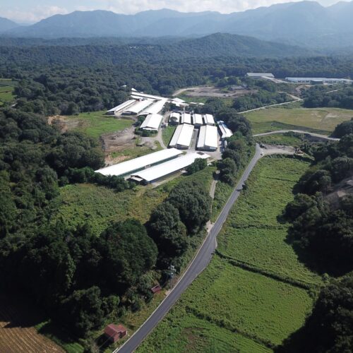 令和7年度　第KJ11-148号日野ライン村井西大路工区舗装本復旧工事